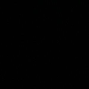 Meet your Posher, Disha